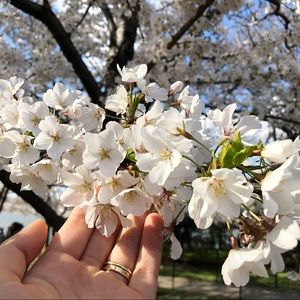 Meet your Posher, Katy